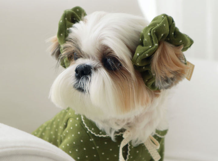 Matcha Bow Dotty Cat and Small Dog Pajama