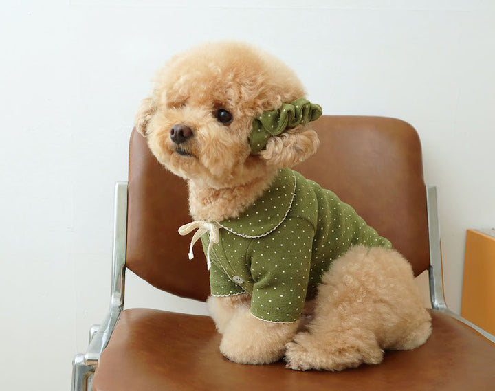 Matcha Bow Dotty Cat and Small Dog Pajama