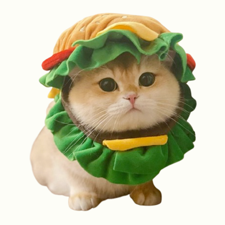 Mcd Hamburger Pet Costume