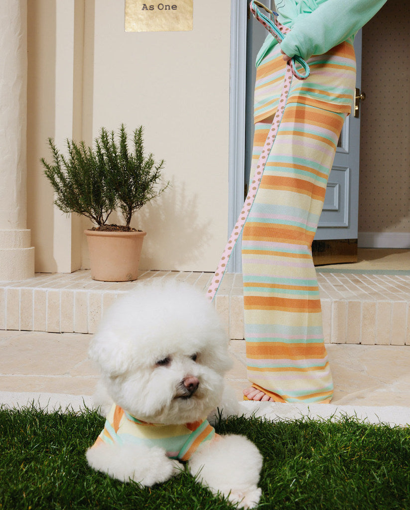 Minty Dreams Pet and Owner Matching Outfits