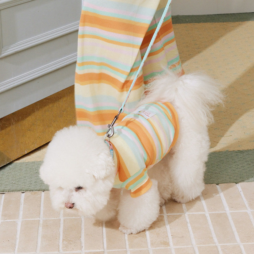 Minty Dreams Pet and Owner Matching Outfits