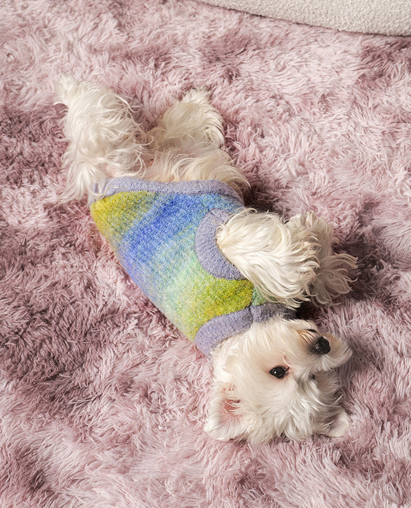 Monet Garden Pet Sweater
