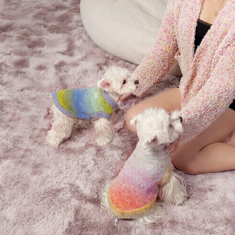 Monet Garden Pet Sweater