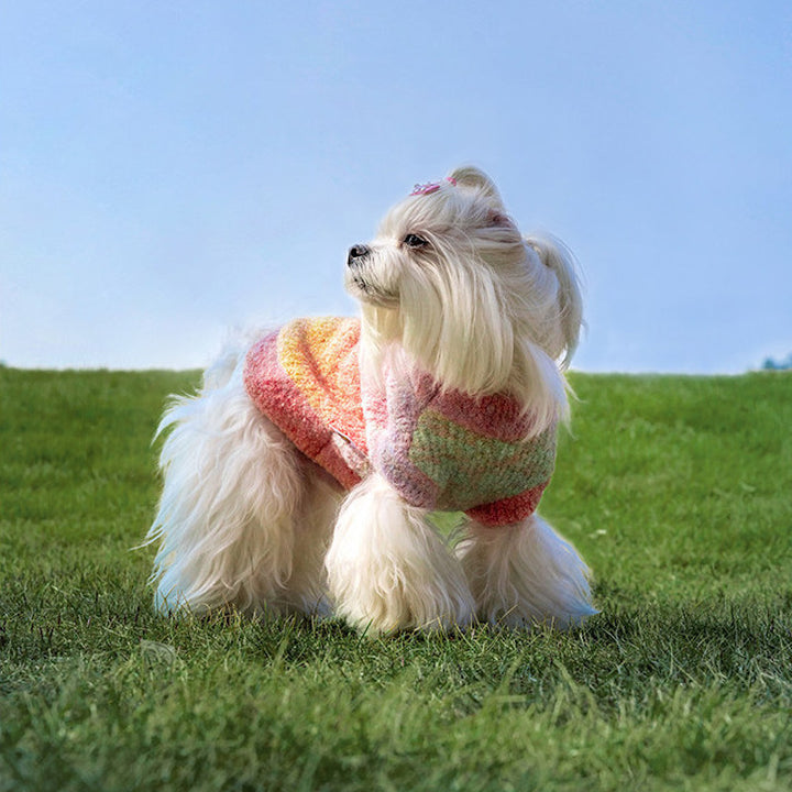 Monet Garden Pet Sweater