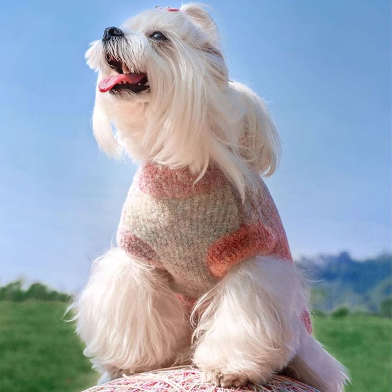 Monet Garden Pet Sweater