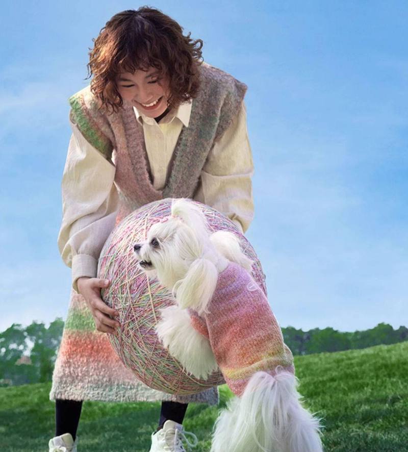 Monet Garden Pet Sweater