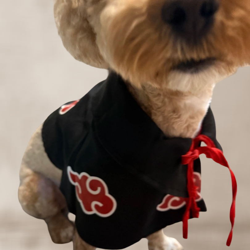 Anime Ninja Cape Pet Costume