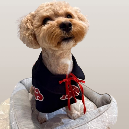 Anime Ninja Cape Pet Costume
