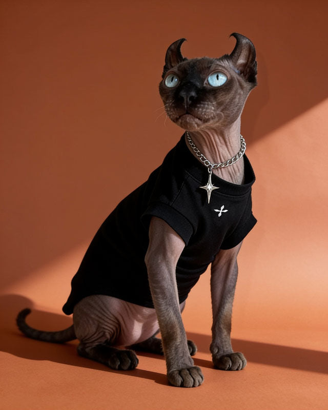 North Star Cap Sleeve Sphynx Cat Tee Shirt CityBear