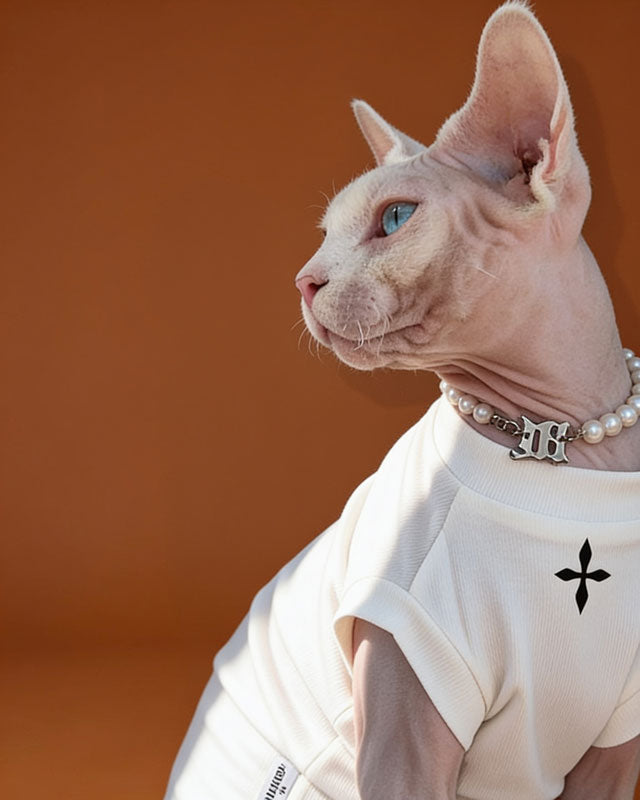 North Star Cap Sleeve Sphynx Cat Tee Shirt CityBear