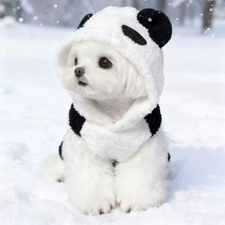 Dog wearing a panda costume in the snow