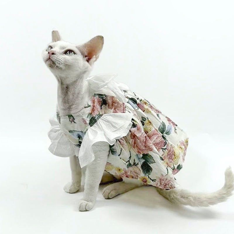 An adorable white cat dressed in a floral outfit