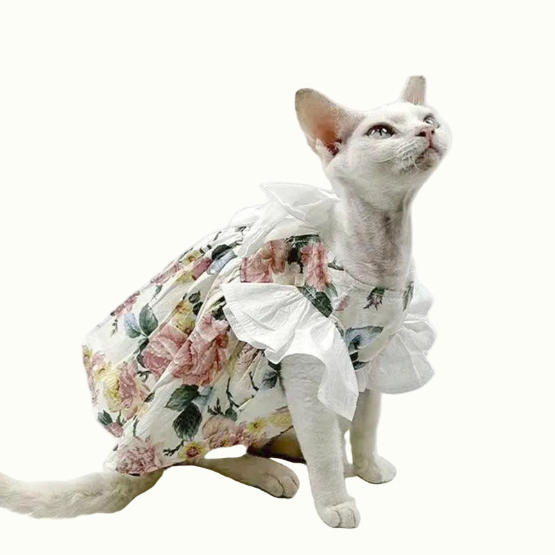 Cat wearing a floral dress on a white background