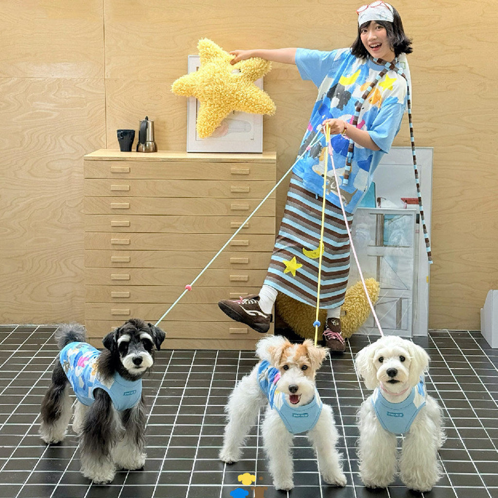 Paws &amp; Pals Adventure Dog and Owner Matching Tee Shirts