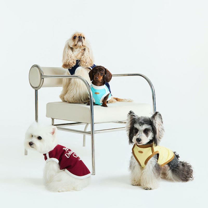 Paws Unleashed Club Pet Tee Shirt