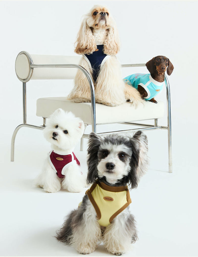 Paws Unleashed Club Pet Tee Shirt