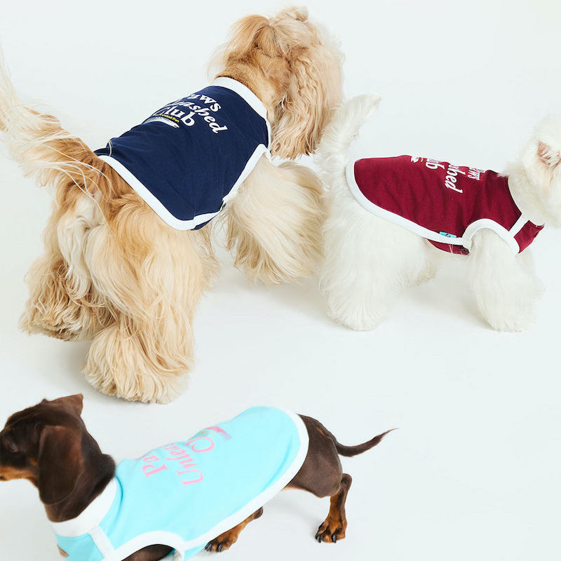 Paws Unleashed Club Pet Tee Shirt