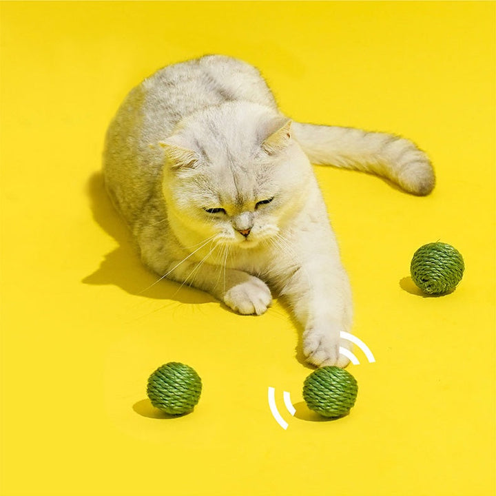 Soft, lightweight pea pod toy for easy carrying and tossing 