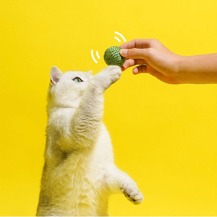 Fun and engaging pea pod toy for cats of all ages