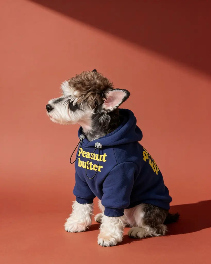 A small dog wearing a navy blue hoodie with yellow 'Peanut butter' text