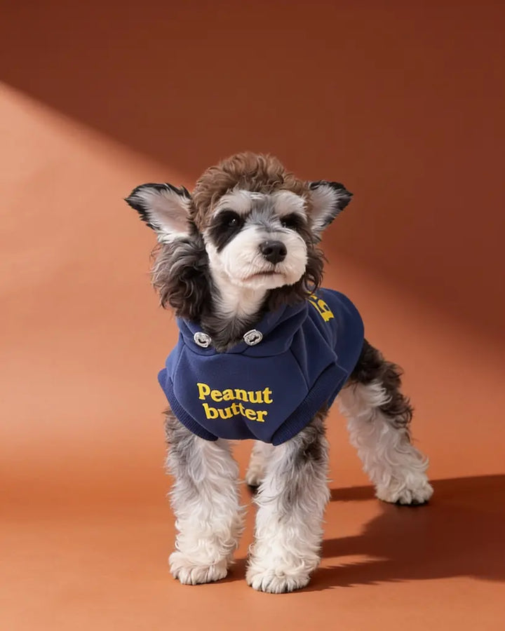 Small dog wearing a blue hooded cotton fleece pet sweater