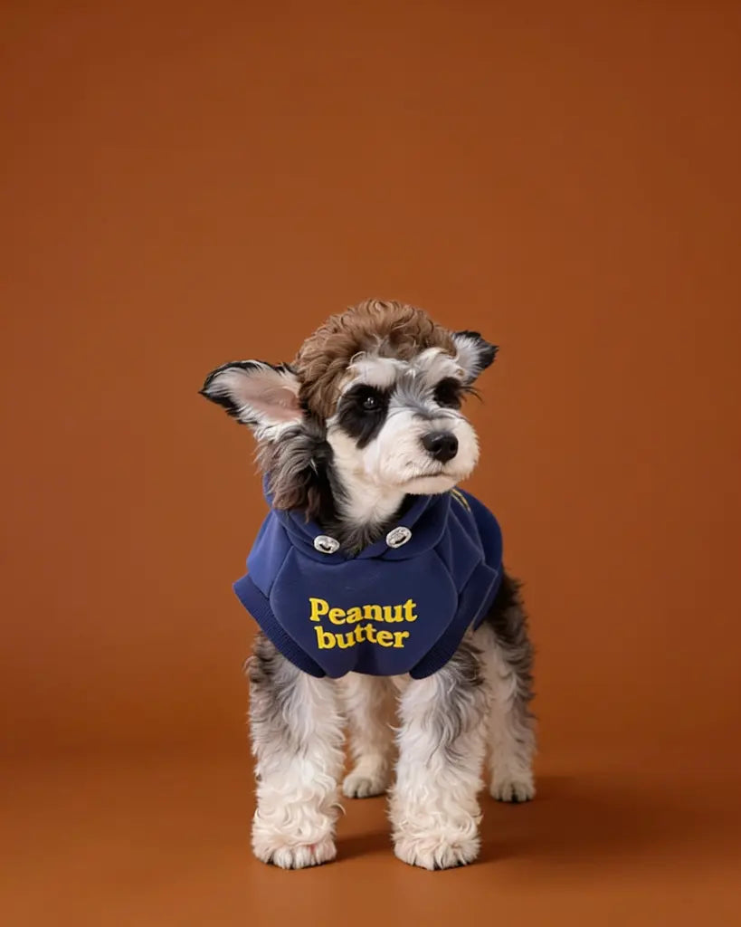 Small dog wearing a blue hooded cotton fleece pet sweater