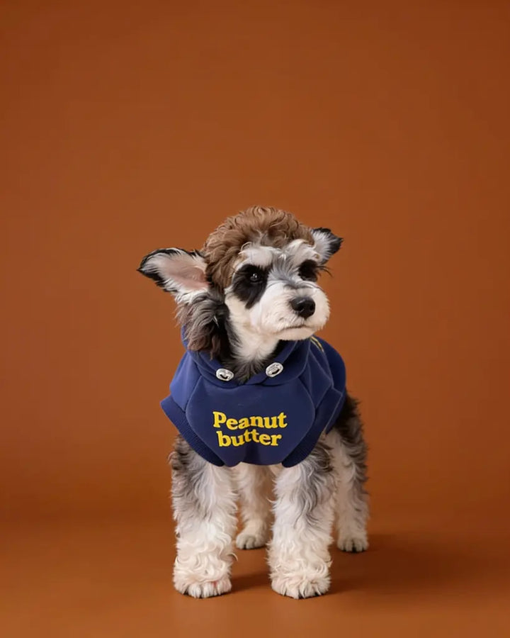 Small dog wearing a blue hooded cotton fleece pet sweater