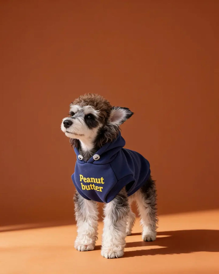Small dog wearing a blue hooded cotton fleece pet sweater