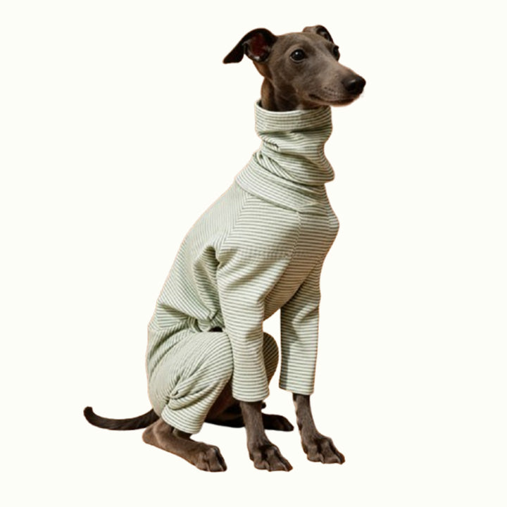 Pet Clothings