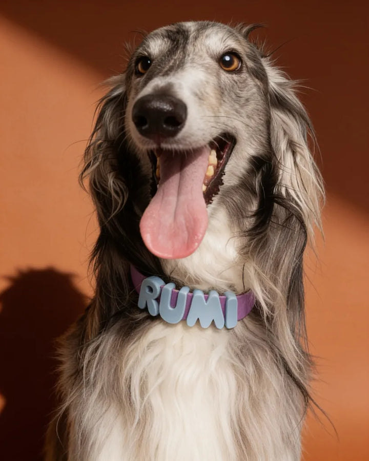Personalized Silicone Dog Collar with Custom Name (Magenta &amp; Red Letters)