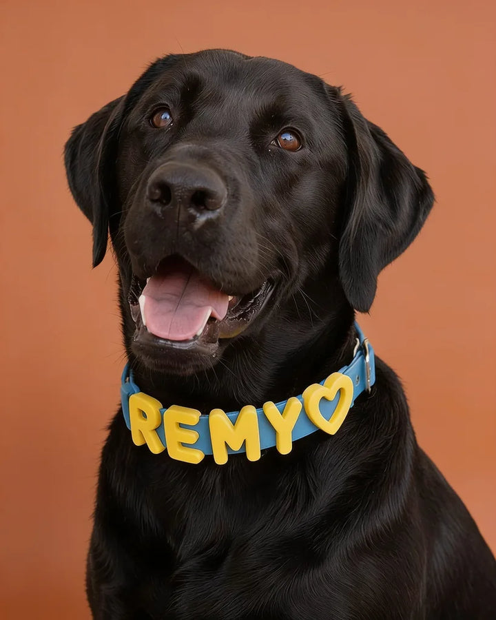 Personalized Silicone Dog Collar with Custom Name (Magenta &amp; Red Letters)