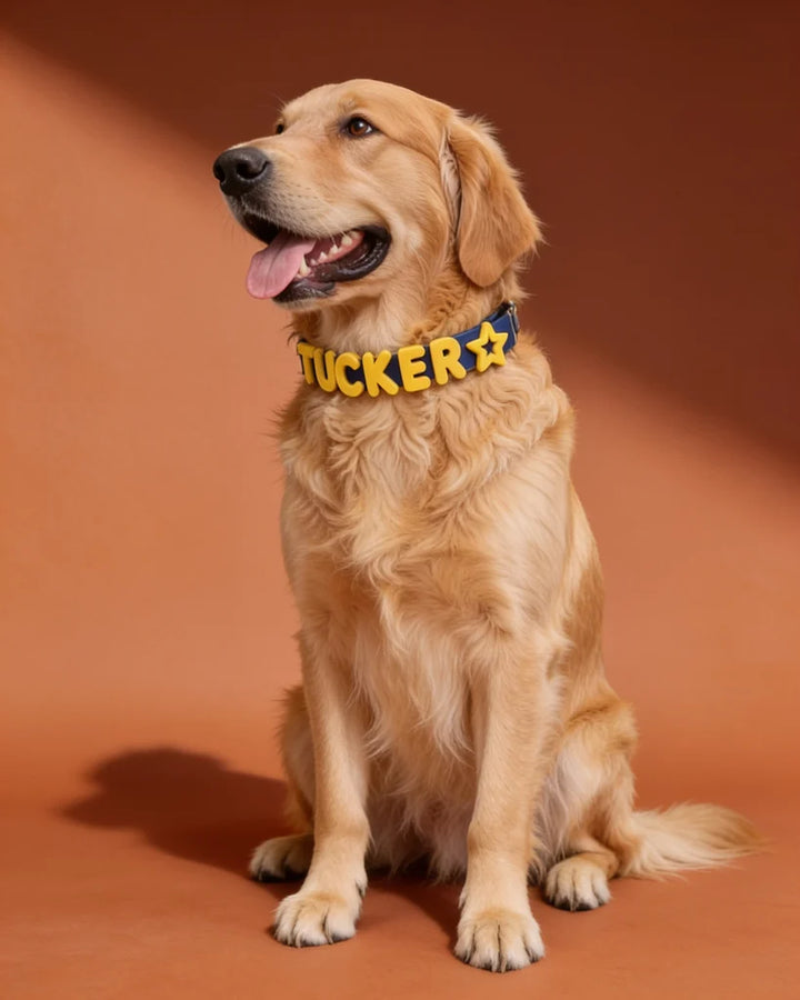 Personalized Silicone Dog Collar with Custom Name (Magenta &amp; Red Letters)