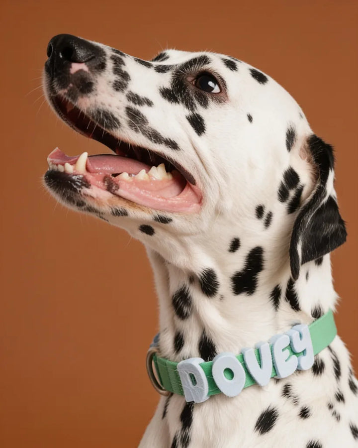 Personalized Silicone Dog Collar with Custom Name (Magenta &amp; Red Letters)