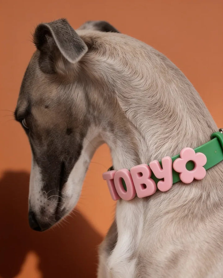 Personalized Silicone Dog Collar with Custom Name (Pink &amp; Lavender Letters)