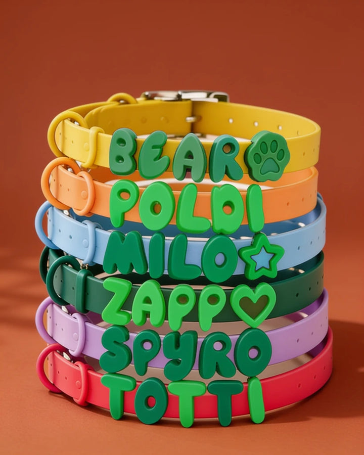 Personalized Silicone Dog Collar with Custom Name (Green &amp; Lime Letters)