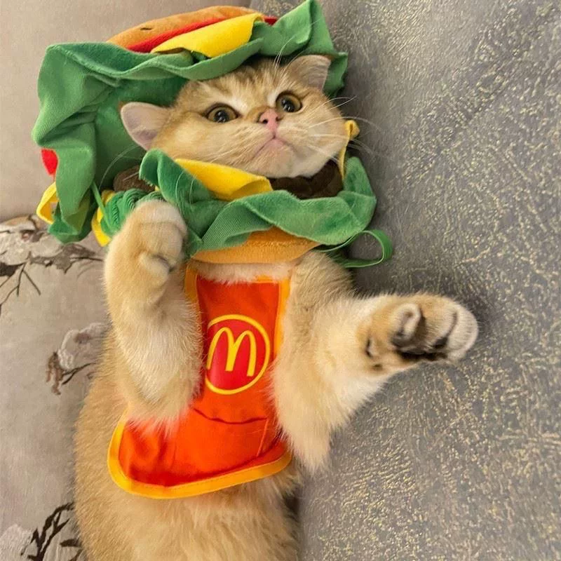 Mcd Hamburger Pet Costume