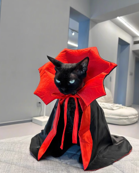 Dracula Pet Halloween Costume