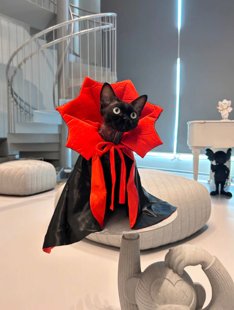 Dracula Pet Halloween Costume