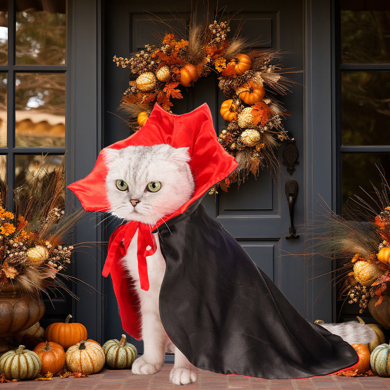 Dracula Pet Halloween Costume