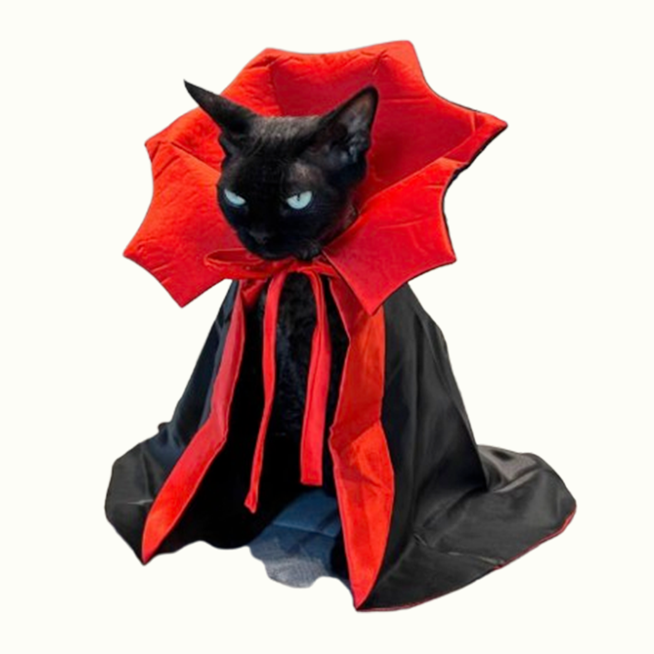 Dracula Pet Halloween Costume