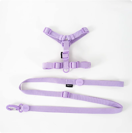 Macaron Pastel Halter H-harnesses and Leash Set