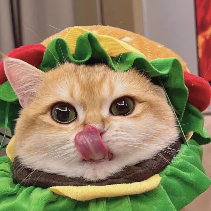 Mcd Hamburger Pet Costume