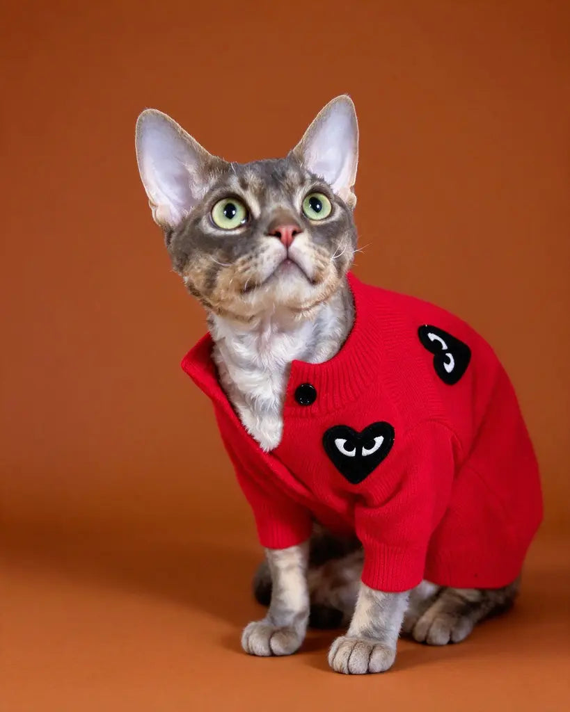 Heart Sphynx Cat Knitted Cardigan Sweater