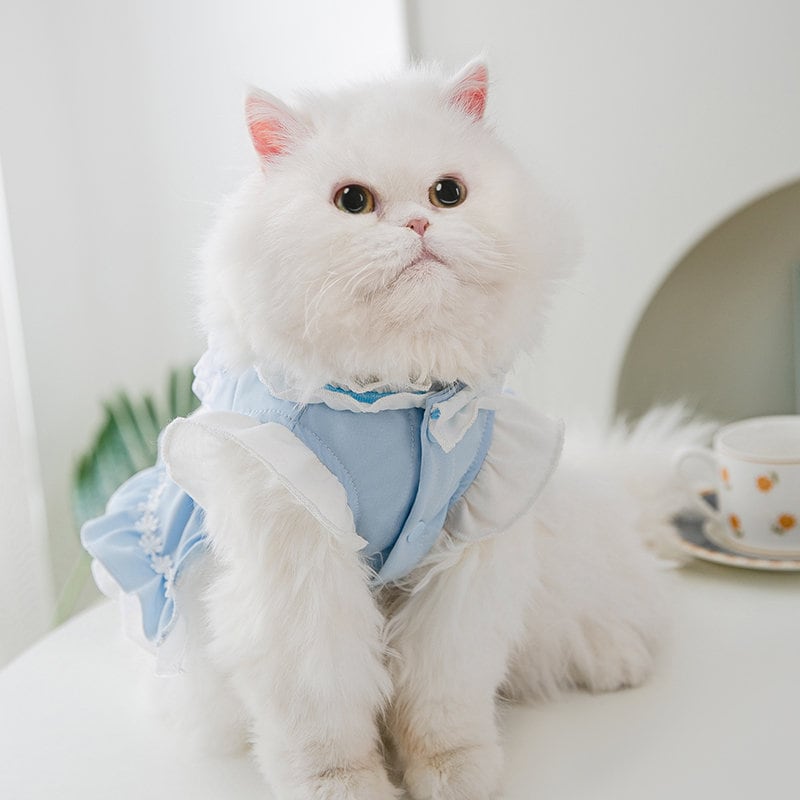 Premium Maid Costume Pet Dress