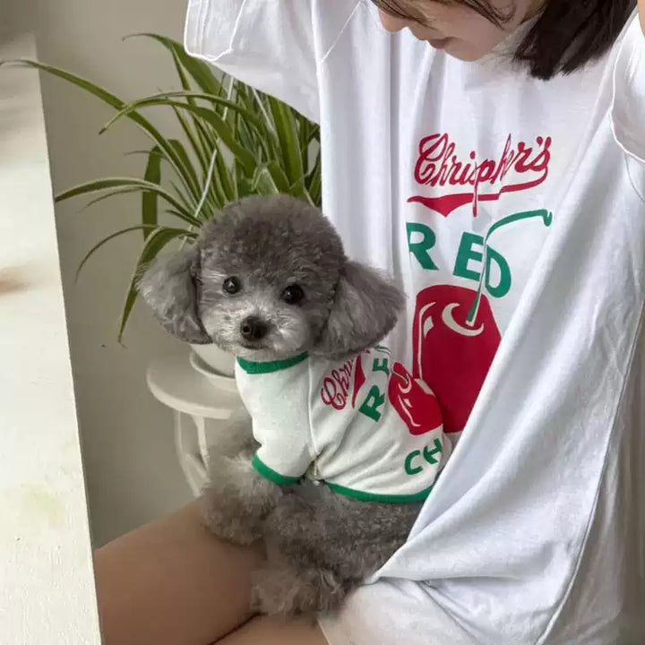 Person wearing a white t-shirt with red and green graphics, holding a small gray dog in a matching shirt.