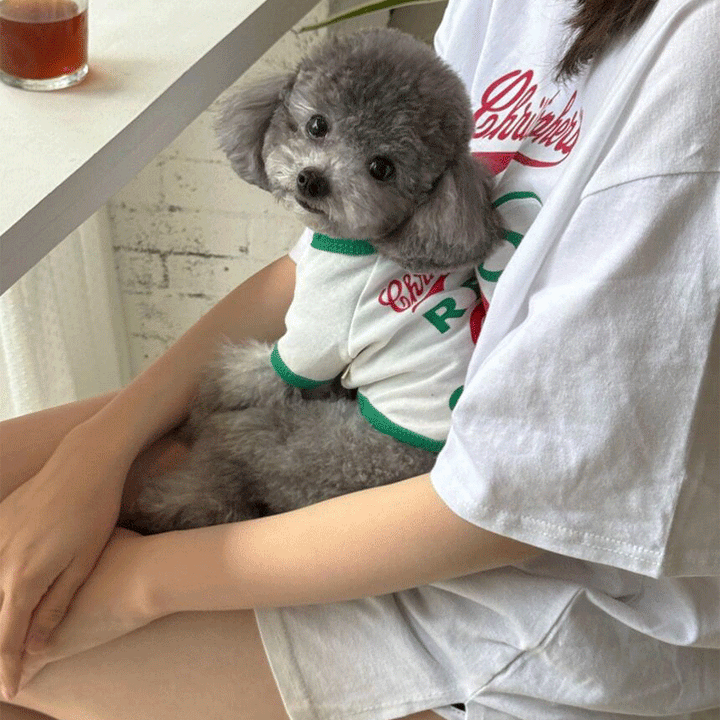 Cherry Matching Dog and Owner Outfits