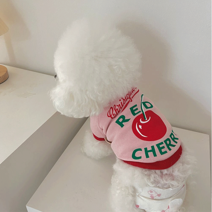 Cherry Matching Dog and Owner Outfits