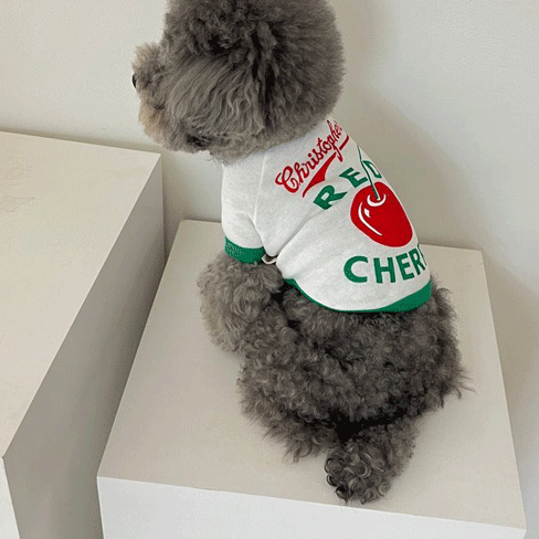 Cherry Matching Dog and Owner Outfits