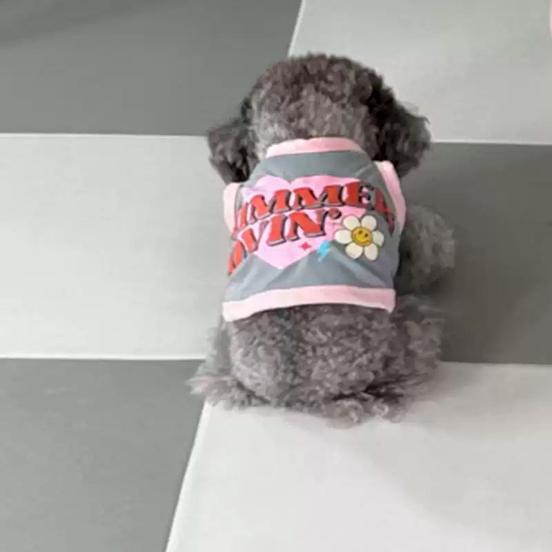 Small dog wearing a pink and gray outfit with text and a flower design on a white surface.