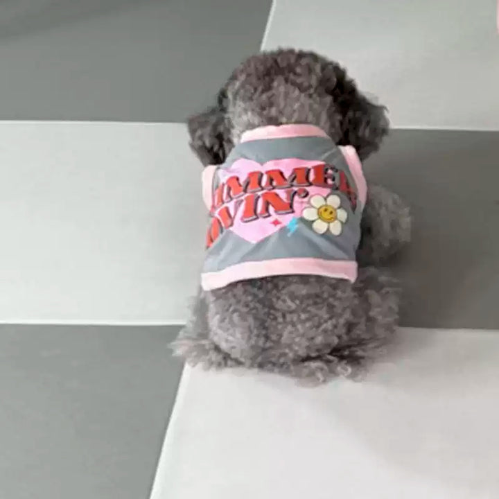 Small dog wearing a pink and gray outfit with text and a flower design on a white surface.